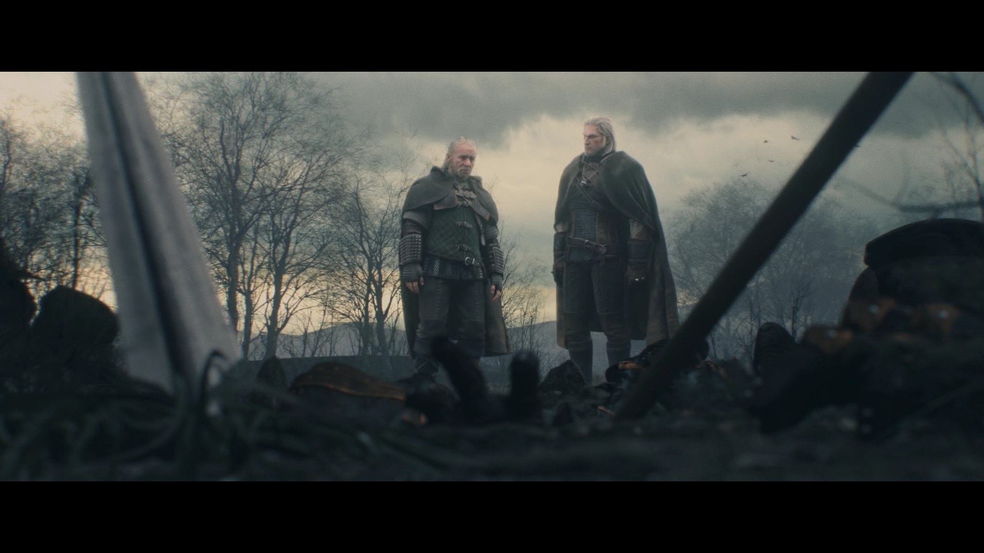 video game reviews - witcher